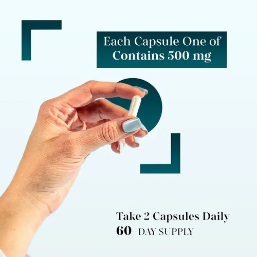 Vista 7 de Acetil L-carnitina 1,000 mg de alta potencia apoya la producción de energía, nutrición deportiva, apoya la memoria/enfoque - 120 cápsulas vegetales