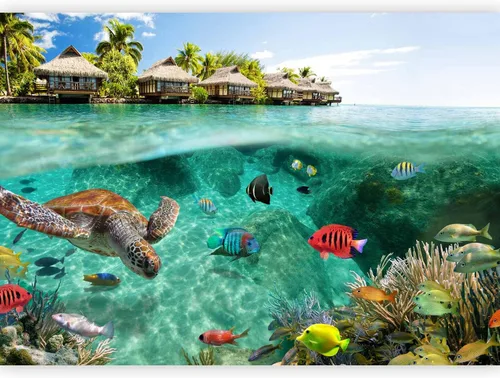 Vista 11 de artgeist Mural de pared premium mundo submarino, 98 x 69 pulgadas, papel tapiz no tejido XXL, decoración de pared de vellón, impresión fotográfica