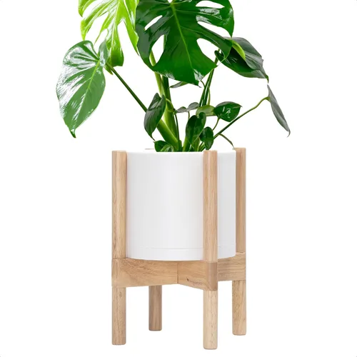 Vista 25 de Maceta de D'vine Dev con soporte - Maceta de flores de cilindro de plástico de 8.0 pulgadas con soporte de madera para interiores, maceta mate negra