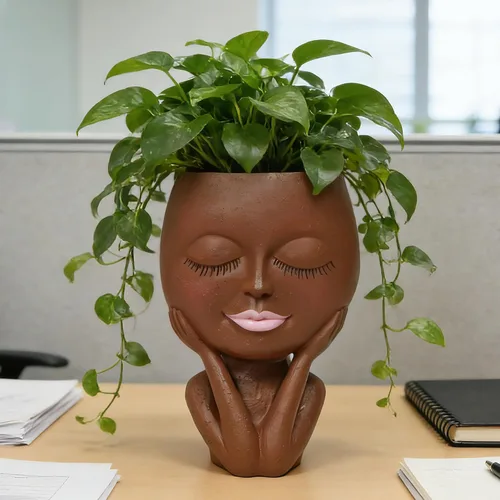 Vista 10 de Macetas Cara de Plantas en Forma de Cabeza - Lindas Macetas para Suculentas, Macetas para Plantas de Interior con Sistema de Drenaje, Regalos