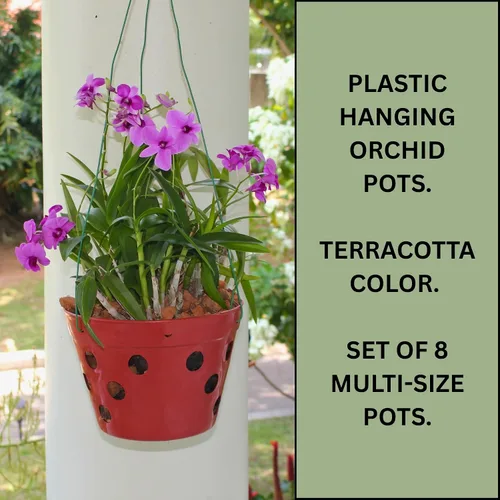 Vista 2 de Juego de 8 macetas de orquídeas colgantes de plástico grueso fuerte con agujeros y perchas. 2 macetas de orquídeas de 9 pulgadas de ancho, 7.5