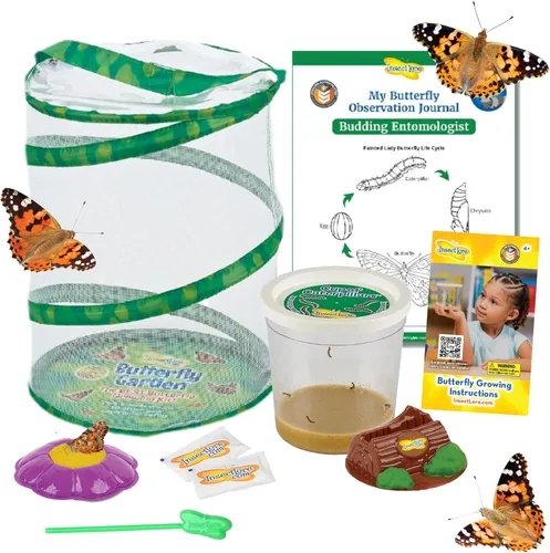 Vista 11 de Insect Lore Butterfly Garden Kit with Live Caterpillars – Grow 10 Painted Lady Butterflies - STEM Learning Activity, Habitat with Journal, Stickers