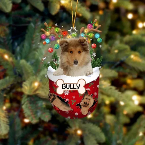 Vista 185 de IZI POD Affenpinscher Adorno de Navidad personalizado para perro, adorno de bolsillo de nieve para perro para árbol de Navidad, adorno acrílico