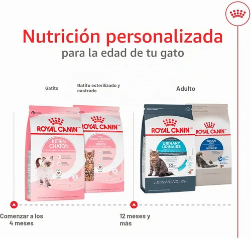 Vista 5 de ROYAL CANIN Feline Health Nutrition - Alimento seco para gatos, bolsa de 3 libras Tailored For Growing Kittens, Supports Immune System, Promotes