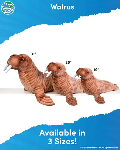 Vista 3 de Real Planet Peluche de Sea Life, regalo realista para niños de todas las edades, peluche de criatura marina morsa, regalos de cumpleaños de Navidad