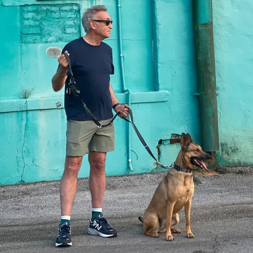 Vista 5 de Correa para perro sin tirones para perros grandes, correa elástica altamente reflectante de 6 pies, correa resistente para perros grandes, 4 asas