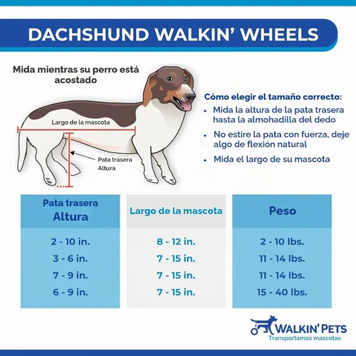 Vista 2 de Walkin' Wheels Silla de ruedas Dachshund - para perros pequeños de 2 a 30 libras - Aprobado por veterinarios - Silla de ruedas para perros para Azul