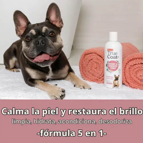 Vista 2 de True Coat Short & Smooth Coat - Champú para perros, 5 en 1, calma y brilla con leche de avena, aceite de coco y vitamina E, 16 onzas Corto y suave