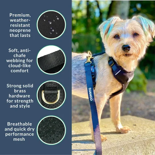 Vista 3 de DJANGO Arnés para perro Adventure - Acolchado y ajustable - Negro, pequeño