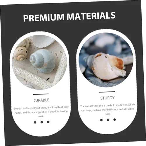 Vista 8 de BESPORTBLE 5pcs Natural Escargot Snail Shells Large Conch Shells for Baking Hermit Crab Habitat Heat Insulation Snail Shells for Restaurant