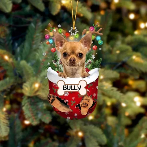 Vista 194 de IZI POD Affenpinscher Adorno de Navidad personalizado para perro, adorno de bolsillo de nieve para perro para árbol de Navidad, adorno acrílico