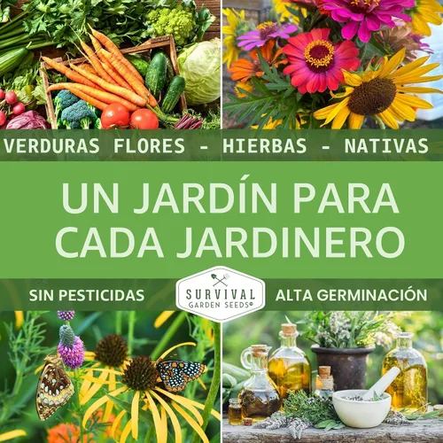 Vista 6 de Semilla de judía polera Kentucky Wonder para plantar - 1 paquete con instrucciones para plantar y cultivar judías verdes en tu jardín de hortalizas