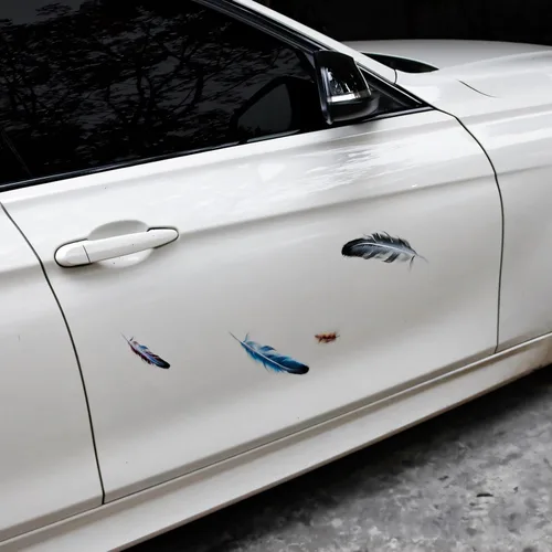 Vista 3 de Calcomanías de vinilo para automóvil, cubierta transparente de plumas de pájaro, impermeables, para parachoques de automóviles, motocicletas