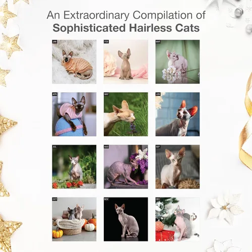 Vista 3 de RED EMBER Hairless Cats - Calendario de pared 2026 de 12 meses, 12 x 24 pulgadas, abierto, papel grueso y resistente, para regalo, calendario 2026