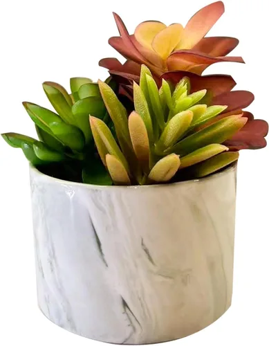 Vista 7 de Plantas artificiales, bonitas suculentas coloridas en maceta de cerámica, plantas falsas, flores en maceta para el hogar, sala de estar, oficina