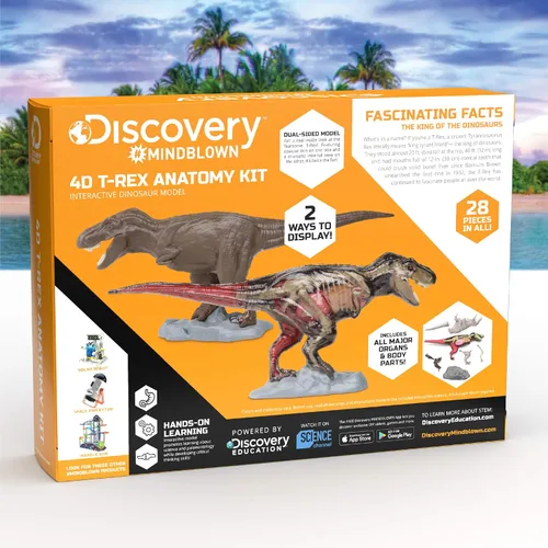 Vista 8 de Discovery Kit de anatomía T-Rex 4D, figura de rompecabezas de dinosaurio jurásico, modelo interactivo de arqueología y paleontología, aprende