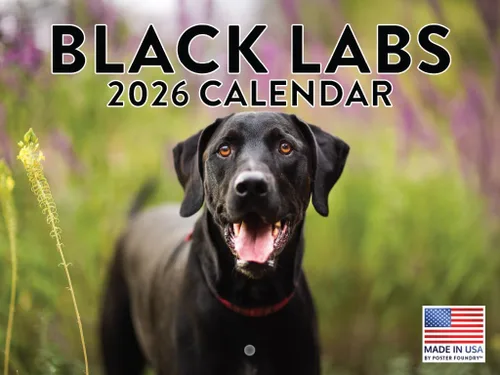 Vista 92 de Calendario mensual de pared Airedale Terrier Dog 2027 rojo (Airedale Terrier)