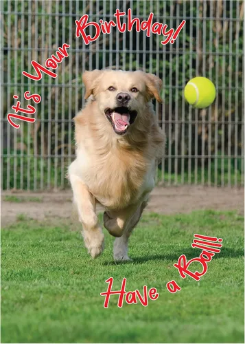 Vista 9 de Glory To Dog Ah Wooo Tarjeta de cumpleaños feliz con tarjeta de felicitación y sobre para envío