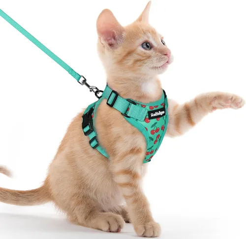 Vista 75 de rabbitgoo Cat Harness and Leash Set, Escape Proof Vest, XXS, Berry Pounce Soft Breathable Mesh, No-choke Adjustable Fit, Snap Buckles, Sturdy