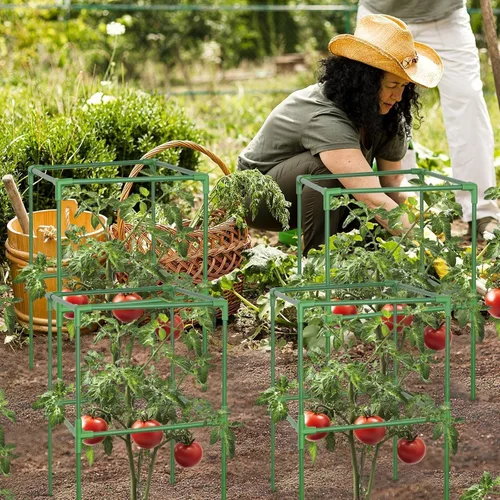 Vista 9 de Jaulas cuadradas de tomate de 45 pulgadas para jardín con clips verde-2 por paquete
