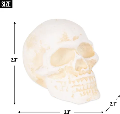 Vista 6 de Zingz & Thingz Skeleton & Skulls Spooky Décor Collection - Pisapeles de hierro fundido, 3.3 x 2.1 x 2.3 pulgadas, calavera