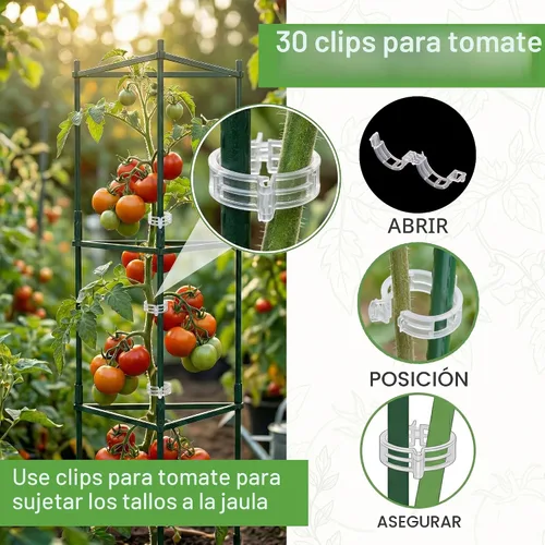 Vista 4 de Paquete de 3 jaulas de tomate de 68 pulgadas para jardín, enrejado grande