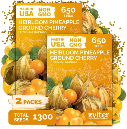 Vista 23 de KVITER Mezcla de 100 semillas de calabaza pequeñas (Cucurbita Pepo), paquete de 2 – Calabazas ornamentales de otoño, sin OGM – Semillas de reliquia