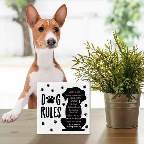 Vista 3 de Divertida decoración de escritorio para amantes de los perros, reglas de perro, decoración de perro para la oficina en casa, decoración de A1