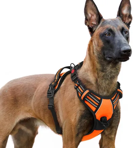 Vista 27 de Rabbitgoo - Arnés para perro de tamaño pequeño, actualizado, fácil de poner y quitar con 3 hebillas Sin tirones, sin estrangulamiento, caminar