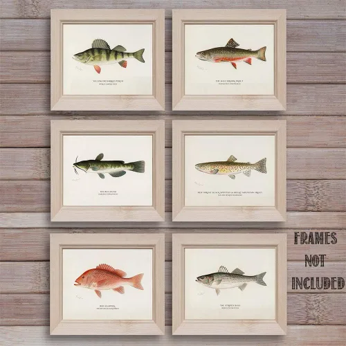 Vista 7 de Pescado - Póster vintage de pesca y playa en el océano, impresión de casa del lago y cabaña, impresión artística educativa, regalo para pescadores