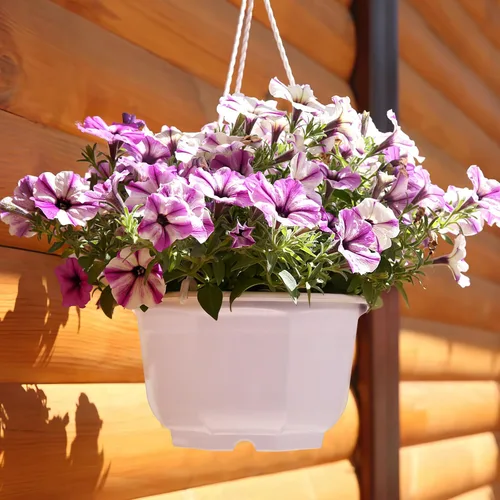 Vista 5 de 8-Inch Hanging Planters Octagonal Plastic Flower Pots with Hook, 10pcs Indoor Hanging Plant Baskets for Balcony and Garden, White Gardening