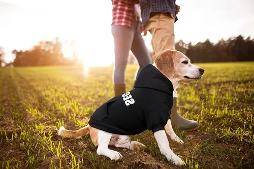 Vista 6 de Sudadera con capucha para perro, suéter de seguridad para perro, suave forro polar cepillado, sudadera con capucha con bolsillo para perros medianos