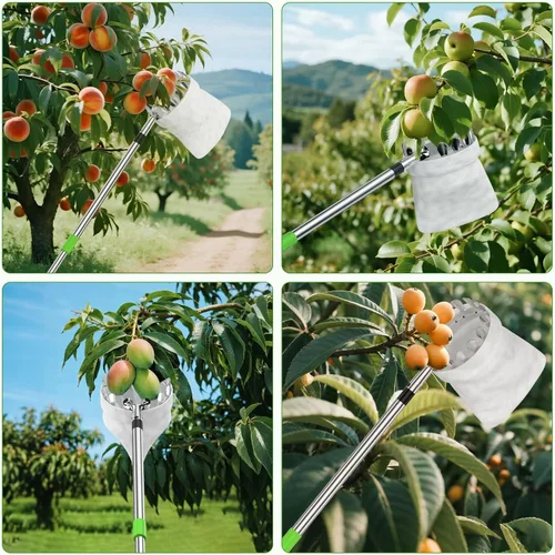 Vista 7 de BURMONG Herramienta recolectora de frutas de 6.6 pies con poste de acero inoxidable y cesta de tela suave, cosechadora ligera de frutas