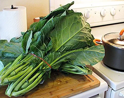 Vista 3 de 100 semillas gigantes del sur de Georgia Col Herb Heirloom Non GMO de Estados Unidos Brassica oleracea VAR. Acephala
