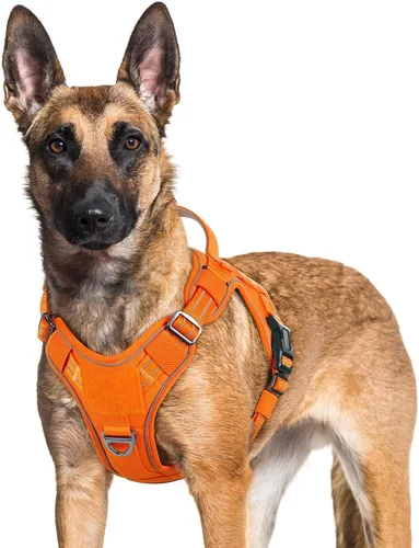 Vista 11 de rabbitgoo - Arnés para perros pequeño sin tirones, chaleco táctico de servicio con Molle y asa de control, arnés militar ajustable y reflectante
