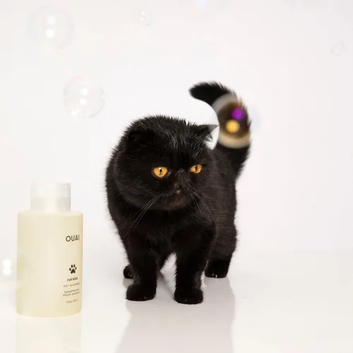 Vista 8 de Ouai Fur Bébé Champú para mascotas, aroma Mercer Street - Champú para perros y lavado para el pelaje que hidrata, limpia y añade brillo - Artículos