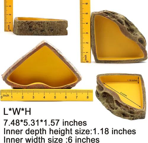 Vista 3 de Comedero de reptiles Tazón de resina para anfibios para lagarto Gecko tortuga dragón barbudo