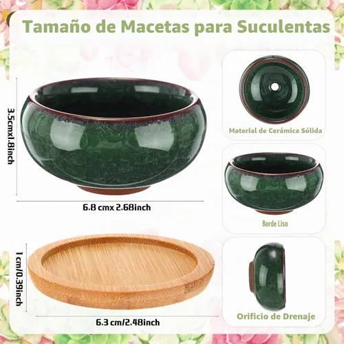 Vista 2 de 24 macetas pequeñas para suculentas de 2.5 pulgadas