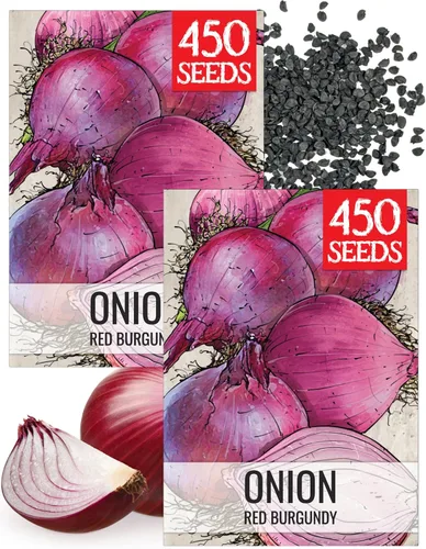Vista 18 de Seed Needs Semillas de cebolla para plantar cebollas amarillas dulces españolas de día largo – Semillas de verduras sin OMG y sin tratar
