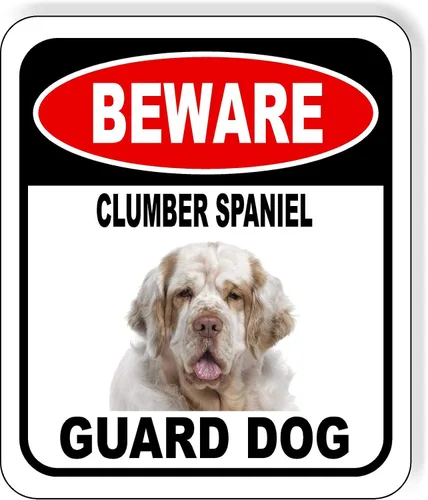 Vista 18 de BEWARE BASSETT HOUND GUARD DOG - Letrero compuesto de aluminio para exteriores, 8.5 x 10 pulgadas CUIDADO BASSETT HOUND GUARD PERRO