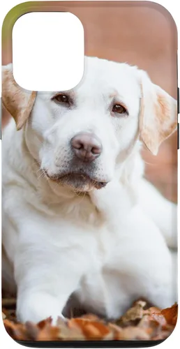 Vista 28 de Labrador Retriever Dog Lover - Carcasa para iPhone 17