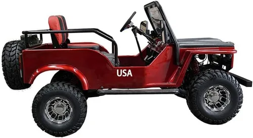 Vista 8 de HHH VITACCI GR2-125cc Go Kart para adultos y jóvenes con 3 velocidades semiautomático con marcha atrás y grandes ruedas de aluminio de 18 pulgadas