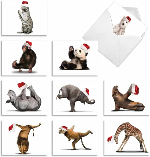Vista 8 de The Best Card Company Paquete variado de 10 tarjetas navideñas de animales con sobres, humor silvestre festivo para hombres y mujeres