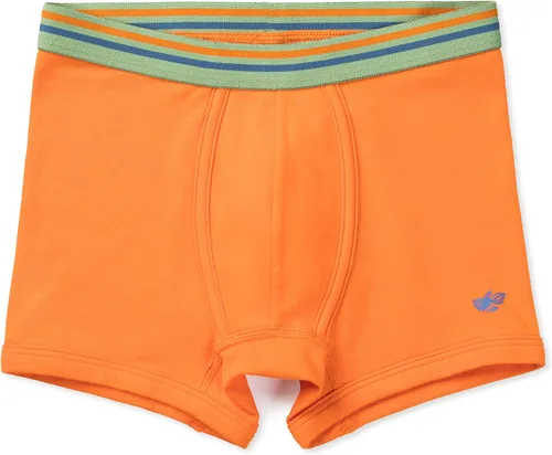 Vista 7 de Lucky Me Jameson Performance - Calzoncillos tipo bóxer para niño algodón ultrasuave paquete de 5