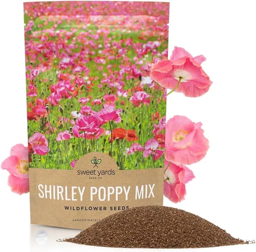 Vista 10 de Shirley - Semillas de amapola - Colores mezclados - Paquete extra grande - Más de 200,000 semillas de flores silvestres polinizadas abiertas sin OMG