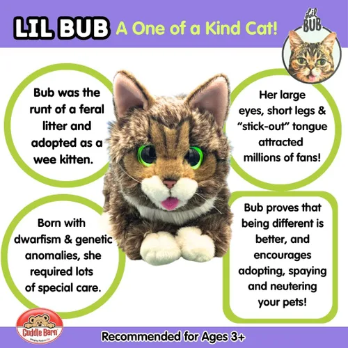 Vista 5 de Cuddle Barn - Lil BUB Peluche de gatito suave y adorable, juguete de animal de peluche, 10 pulgadas