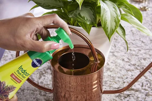 Vista 5 de Miracle-Gro Alimento para plantas de interior, fertilizante para plantas, 8 onzas (paquete de 6) Alimento líquido para plantas