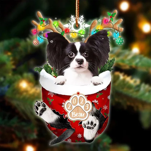 Vista 98 de NAZENTI Adorno Navideño de Bolsillo Personalizado de Affenpinscher en la Nieve, Adorno de Forma Acrílica de Perro, Adorno de Navidad 2023, Adorno