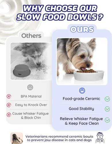 Vista 5 de TRUVIC Ceramic Slow Feeder Dog Bowl Small Breed Maze Cat Bowl (White)
