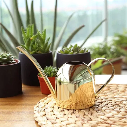 Vista 5 de Regadera para plantas de interior, regadera pequeña de 17 onzas de acero inoxidable con boquilla larga para plantas de interior y exterior (dorado)